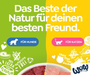 Gratis Bio Leberpastete